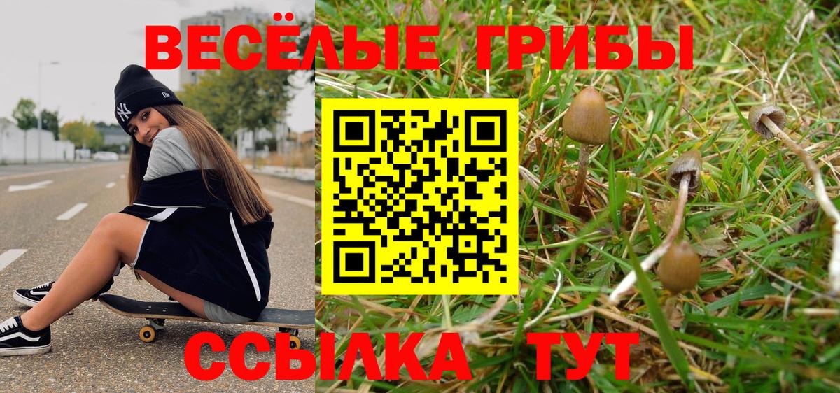 Вышний Волочёк  Галлюциногенные грибы мицелий  Вход с VPN  Псилоцибиновые грибы мицелий 